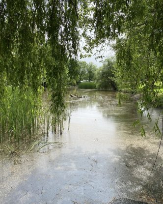 l'étang